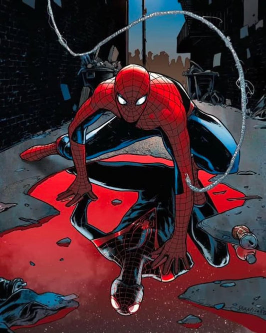 Spiderman Alley Confrontation Print Poster
