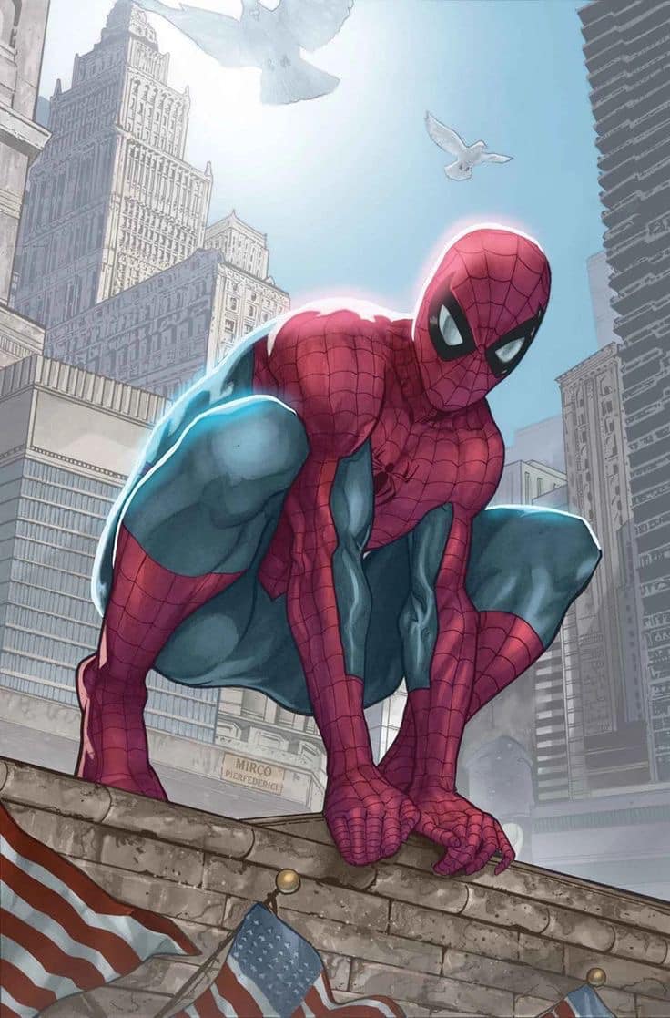 Spiderman Cityscape Flag Print Poster