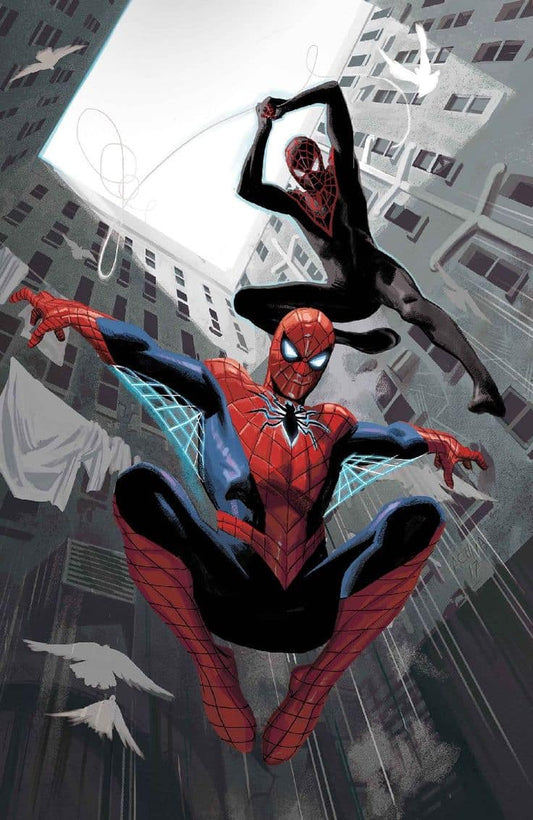 Spiderman Duo Urban Action Print Poster