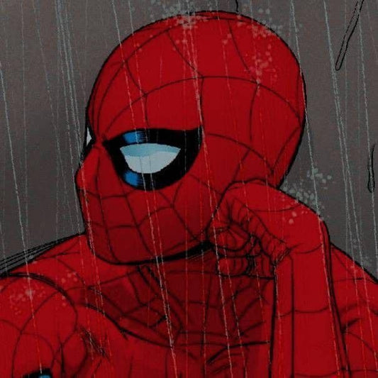 Spiderman Rainy Moment Print Poster