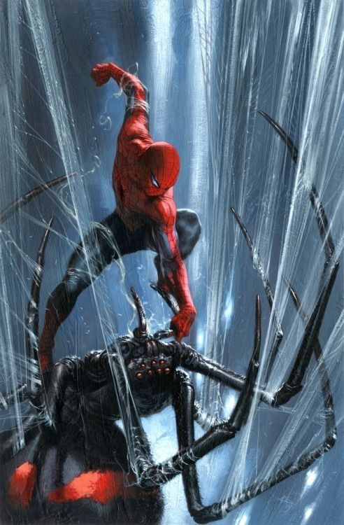Spiderman Vs Black Spider Print Poster