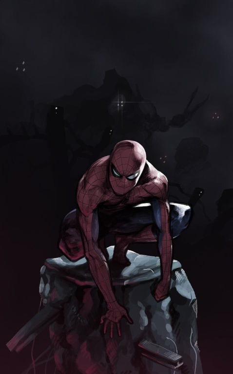Spiderman Night Perch 748 Jigsaw Puzzle