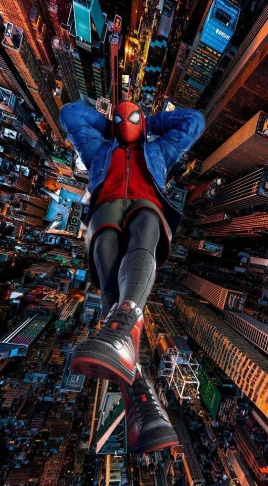 Spiderman Magnet 24 X 36