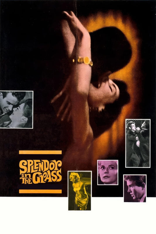 Splendor In The Grass (1961) Movie Magnet