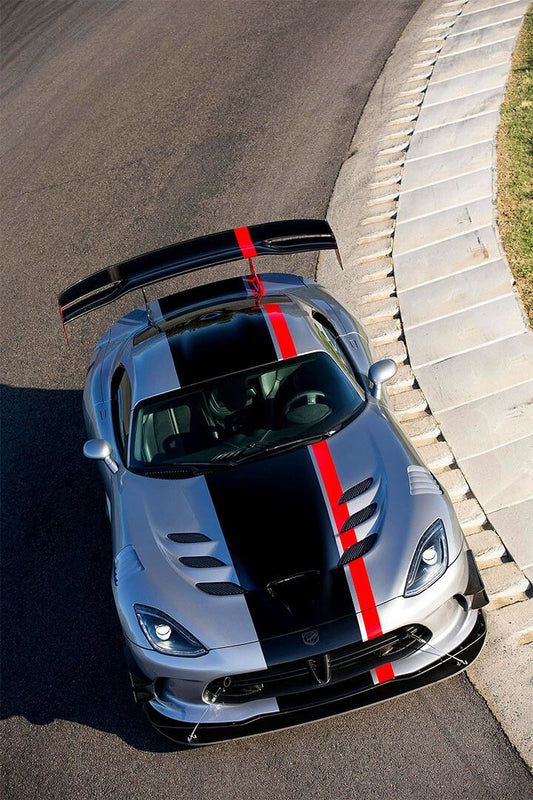 Sport Cars Dodge Viper Srt10 2010 Landscape Jigsaw Puzzle