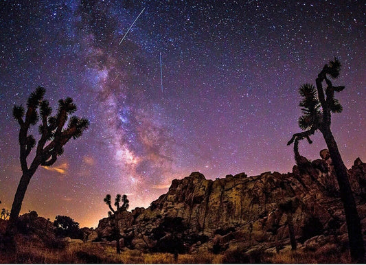 Starry Night Sky In Joshua Tree National Park In California Photo Poster