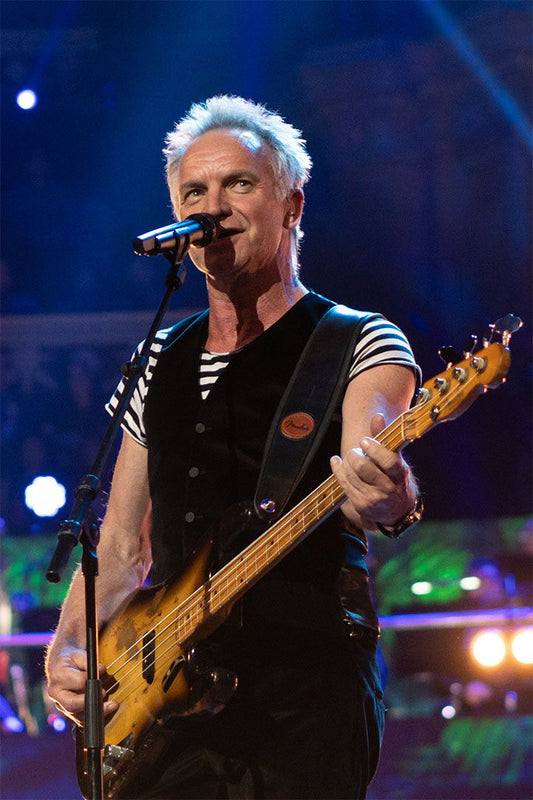 Sting Celebrity British Singer Rock Musician Cinema Actor Jigsaw Puzzle