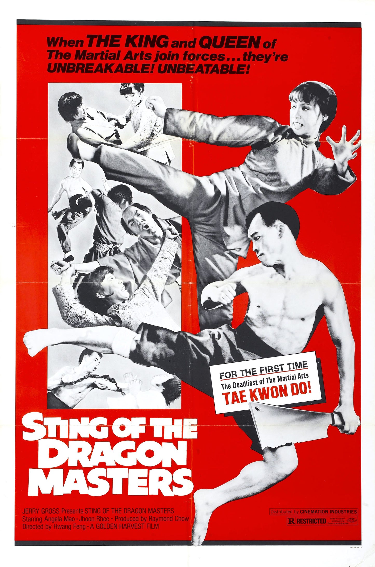Sting Of Dragon Masters 01 Movie Magnet