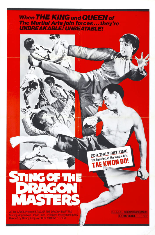 Sting Of Dragon Masters 01 Movie Magnet