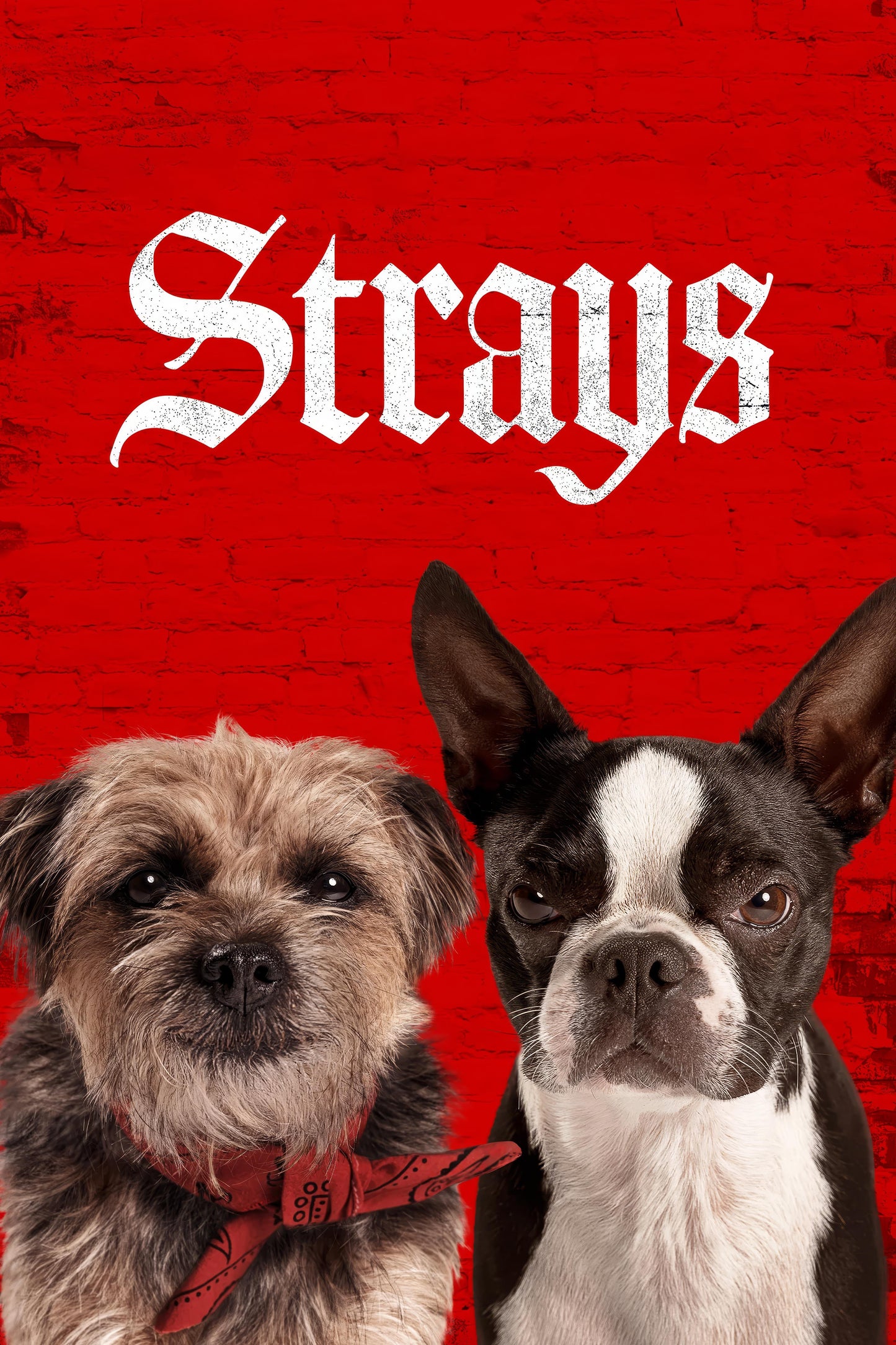 Strays (2023) Movie Magnet