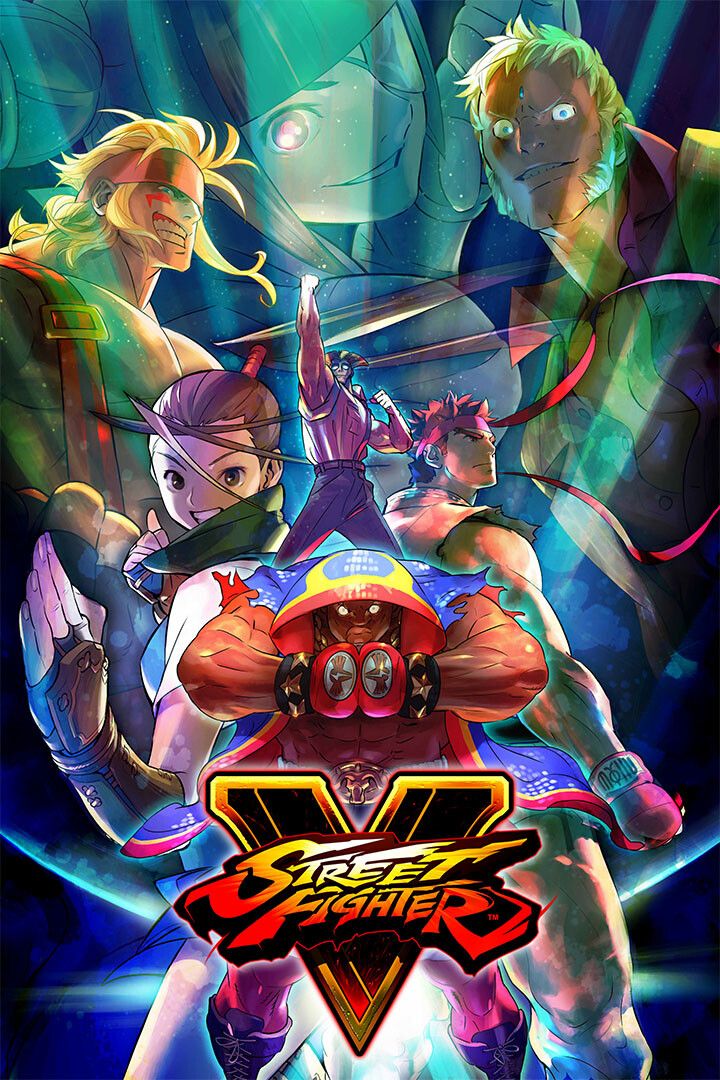 Street Fighter Video Game Series Action Print Wall Art Home Decor Poster