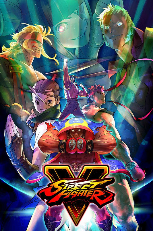 Street Fighter Video Game Series Action Print Jigsaw Puzzle
