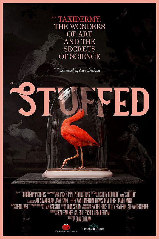 Stuffed Movie Documentary Painting Print 2019 Jigsaw Puzzle