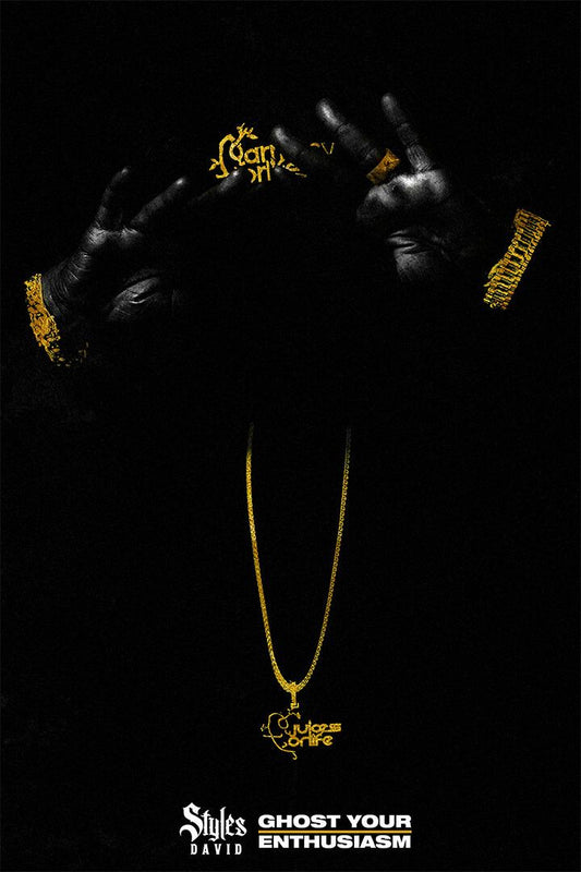 Styles P David Ghost Your Enthusiasm Musician Wall Art Home Decor Poster