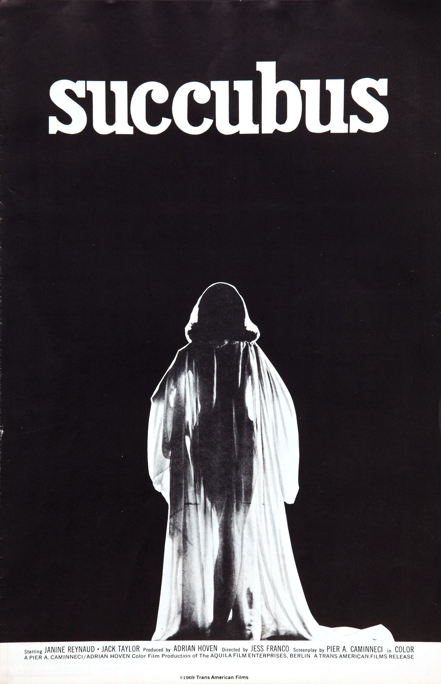 Succubus 02 0 Movie Magnet