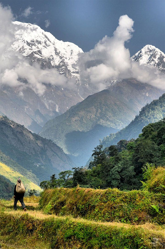 Summer Green Valley In The Himalayas Nature Jigsaw Puzzle