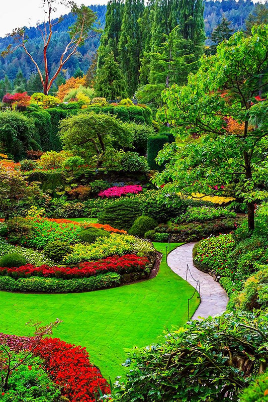 Sunken Gardens At Butchart Gardens Victoria Jigsaw Puzzle