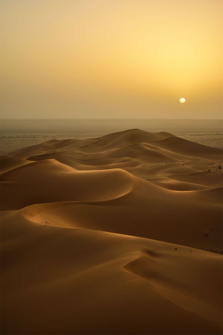 Sunset In Desert Landscape Nature Painting Jigsaw Puzzle