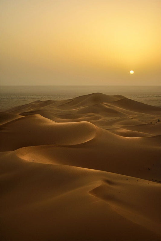 Sunset In Desert Landscape Nature Painting Jigsaw Puzzle