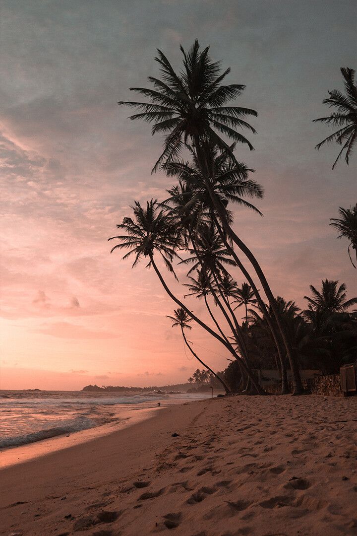 Sunset On Sandy Beach Art Wall Decor Jigsaw Puzzle