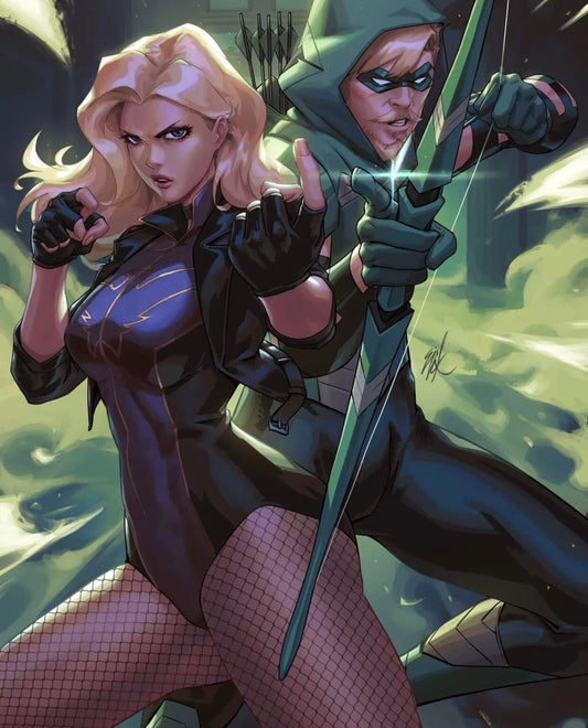 Superheroes Black Canary Green Arrow Print Poster