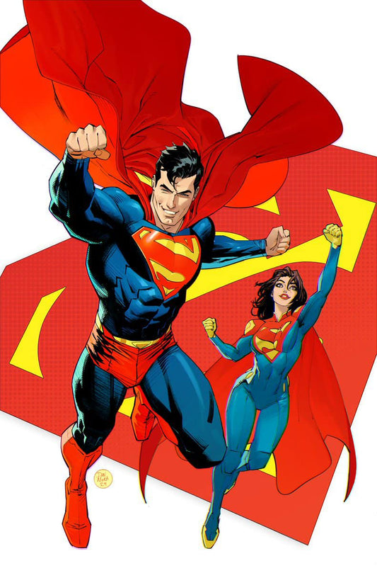 Superheroes Flying Comic Art (2) Print Poster