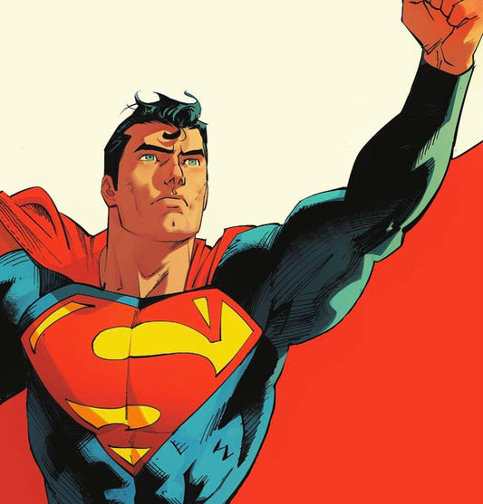 Superman Striking Pose Print Poster
