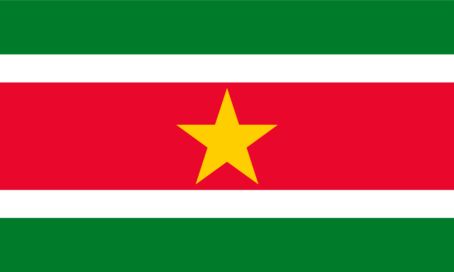 Suriname Flag Keychain