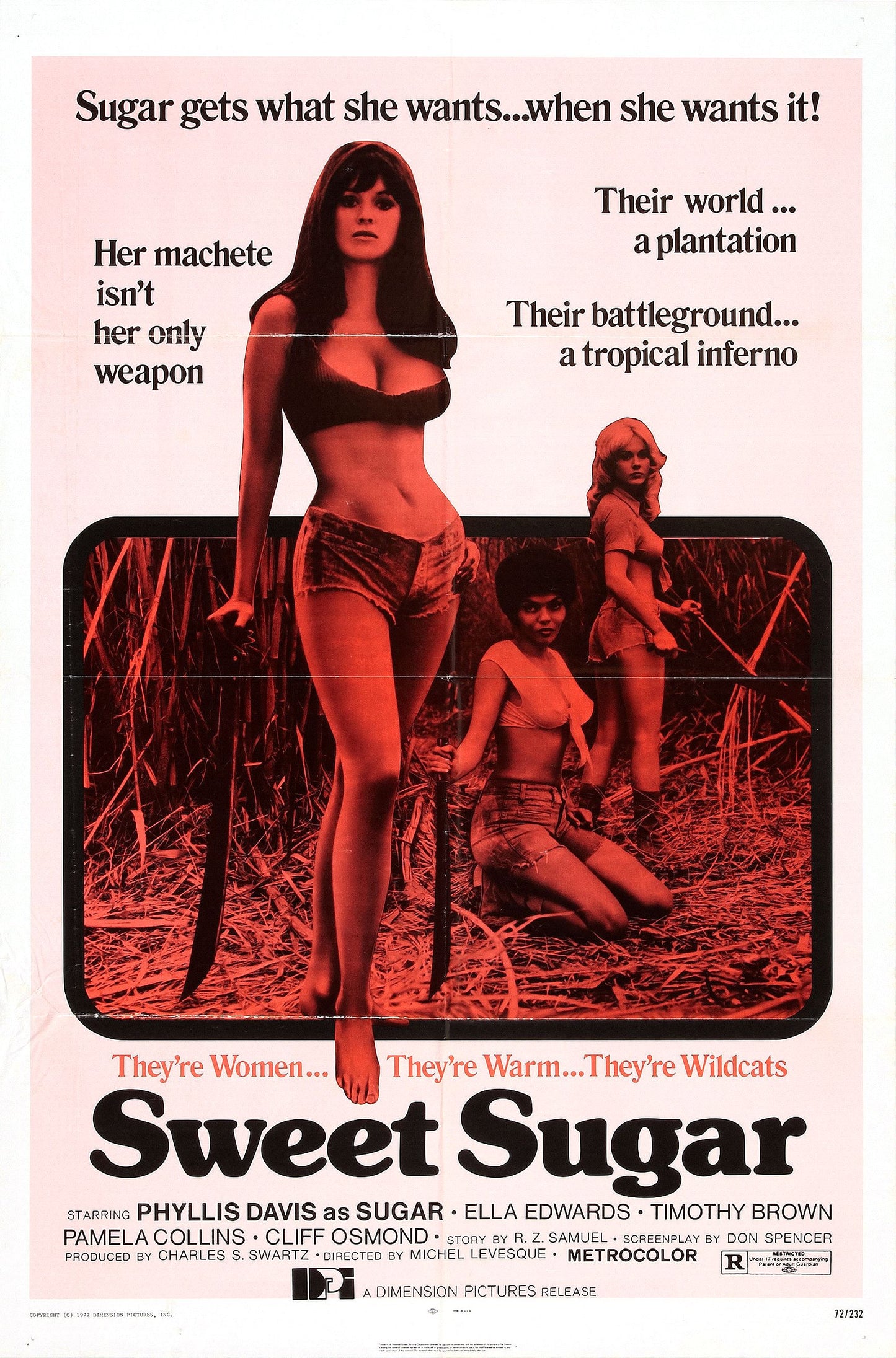 Sweet Sugar 01 Movie Magnet