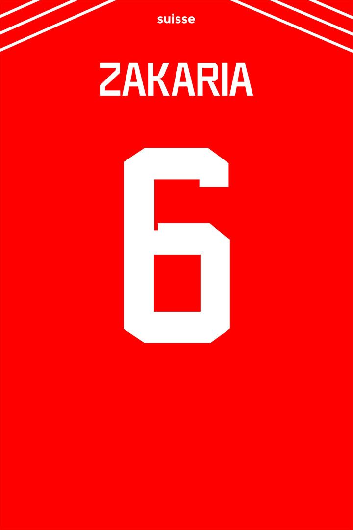 Switzerland #6 Denis Zakaria World Soccer Championship Jigsaw Puzzle