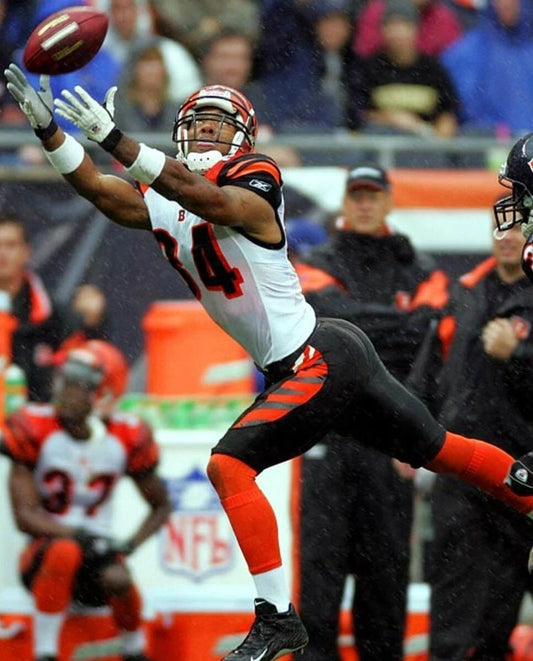T.J. Houshmandzadeh Photo Cincinnati Bengals Picture Nfl Football