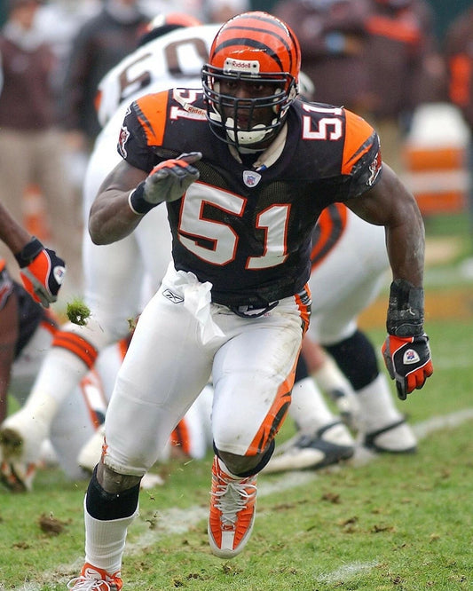 Takeo Spikes Photo Cincinnati Bengals Picture Nfl Football