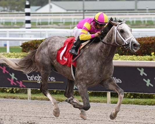 Tapit Trice Photo Horse Racing Picture
