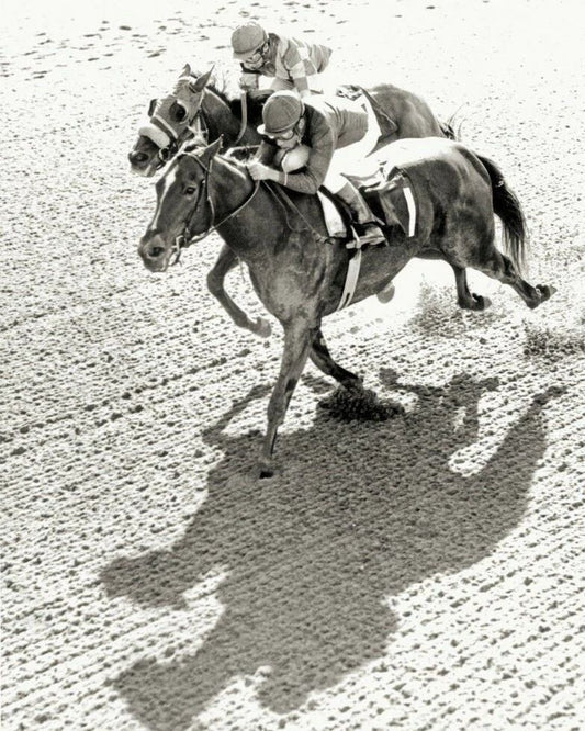 Ta Wee Keychain Horse Racing Picture Jockey Race Action