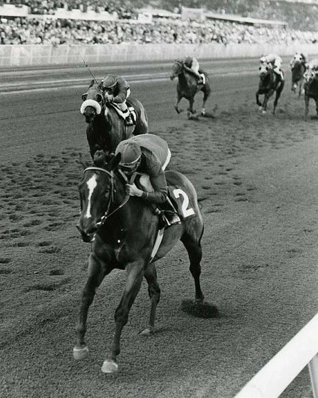 Ta Wee Photo Horse Racing Picture Jockey Victory 300 Piece Jigsaw Puzzle