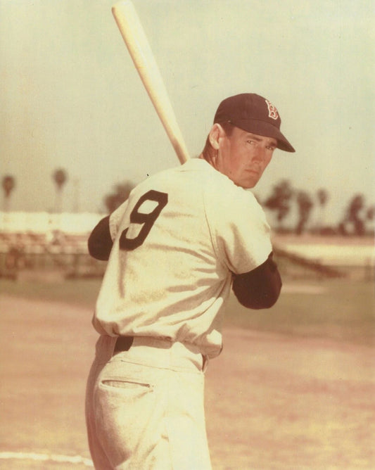 Ted Williams Photo Boston Red Sox Mlb Baseball Picture Posed Stance Color