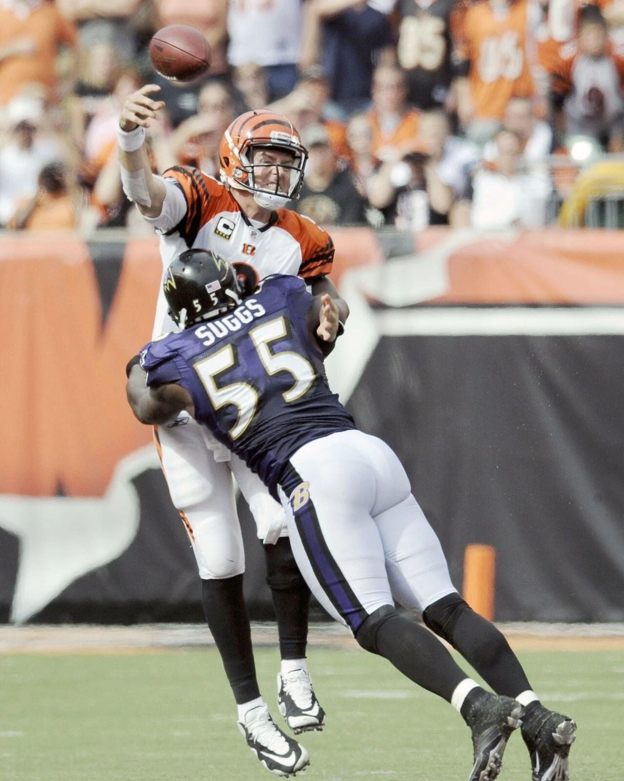 Terrell Suggs Photo Baltimore Ravens Picture Nfl Vs Bengals