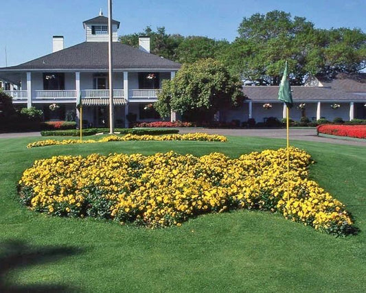 The Masters Augusta National PGA Coarse Glossy Photo Print Major Poster 1