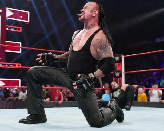 The Undertaker Magnet Wrestling Picture Wwe Wwf Wwe Vs Roman Reigns