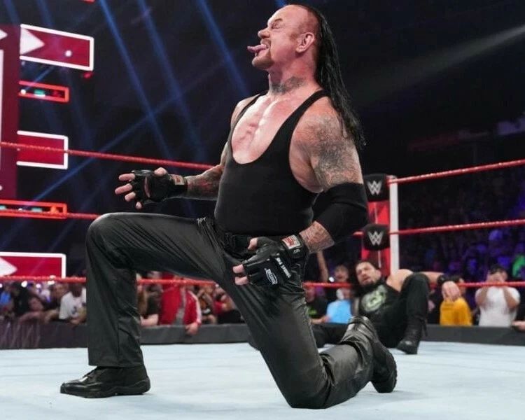 The Undertaker Photo Wrestling Picture Wwe Wwf Wwe Vs Roman Reigns