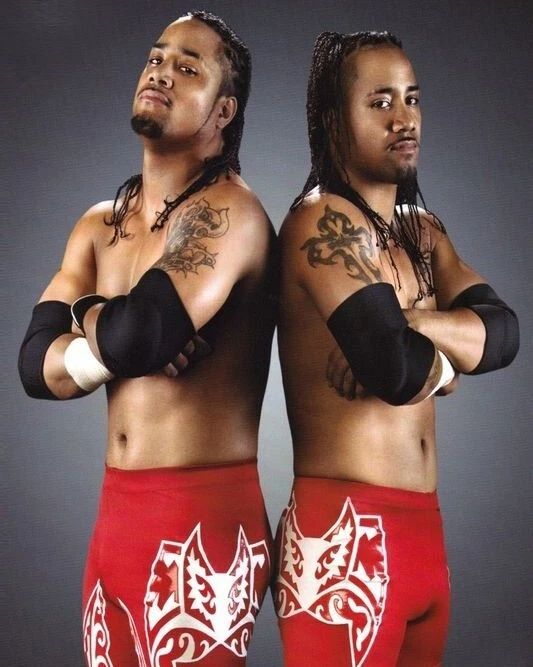The Usos Magnet Wrestling Picture Wwe