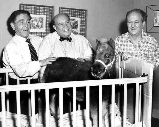 Three Stooges With Horse In Crib Photo Tv Movies