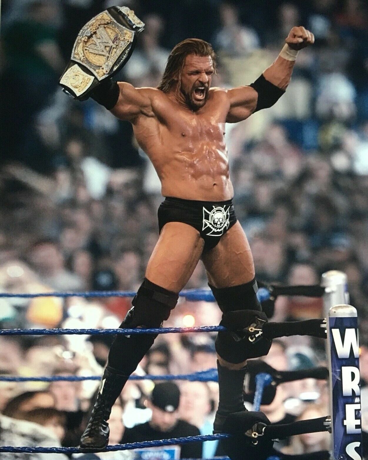 Triple H Magnet Wrestling Picture Wwe With Belt