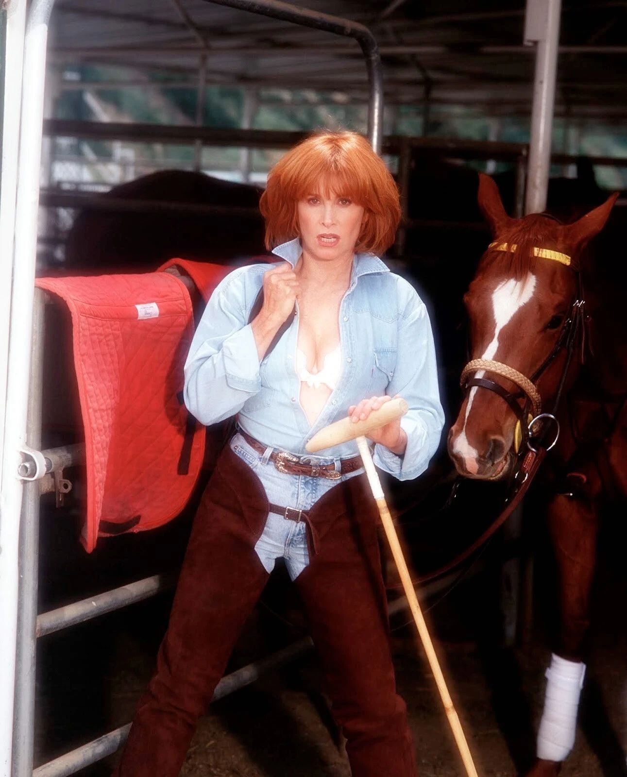Tv Actress Stefanie Powers Classic Publicity Picture Magnet Magnet Print