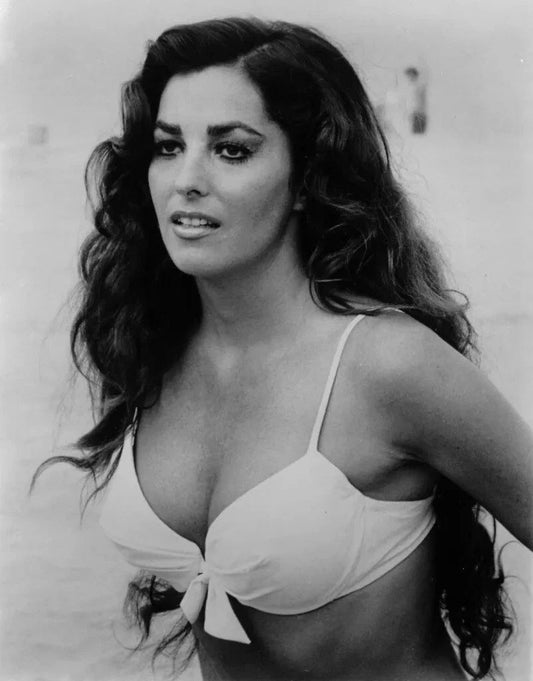 Tv & Film Actress Edy Williams Portrait Pin Up Picture Poster Photo Print