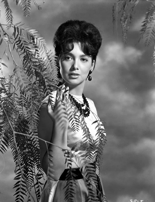 Tv & Film Actress Suzanne Pleshette Classic Picture Magnet Print