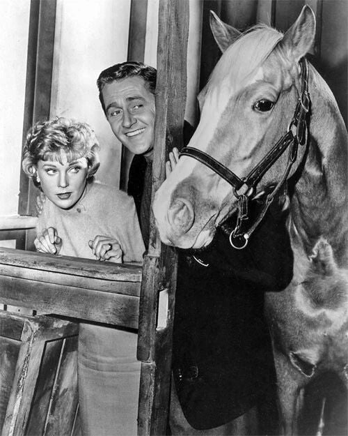 Tv Show Mister Ed Glossy Photo Alan Young And Connie Hines Print