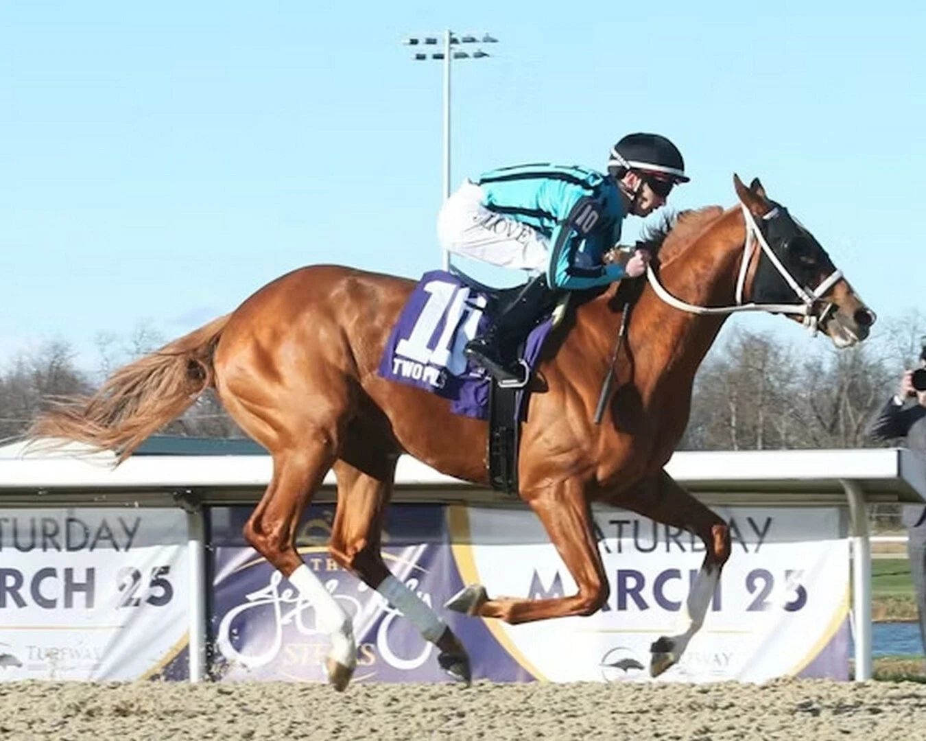 Two Phil'S Magnet Horse Racing Picture