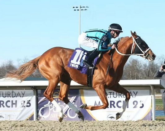 Two Phil'S Magnet Horse Racing Picture