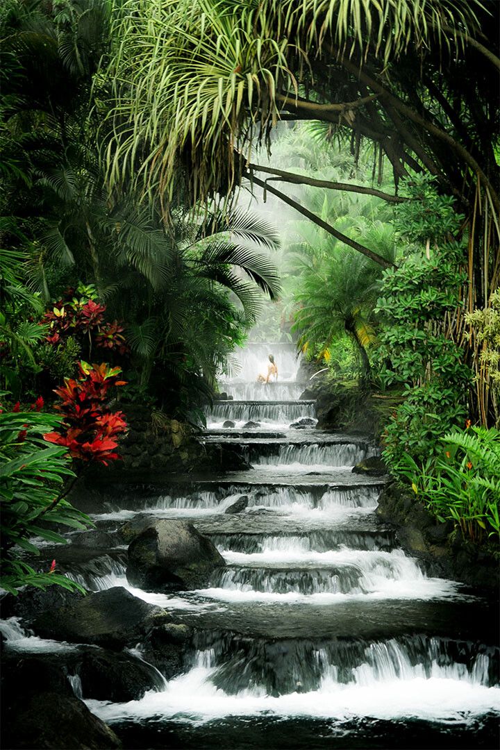 Tabacon Hot Springs And Volcan Arenal Print Jigsaw Puzzle